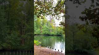 Tiergarten Berlin 🍁🍂 berlin travel berlinvlog trending berlincity berlinberlin [upl. by Atiuqahc]