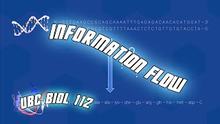 Information Flow  Biol 112 at UBC [upl. by Iluj]