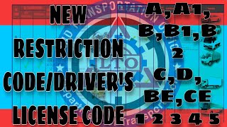 New RestrictionDrivers License Code 2021  LTO [upl. by Alyse885]