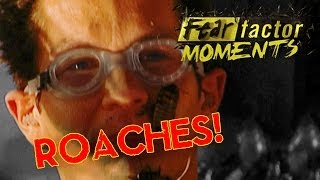 Fear Factor Moments  Roach Coffin [upl. by Rephotsirhc]