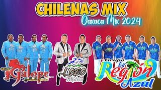 Grupo Galope ft Lobo Mixteco ft Grupo La Región Azul  Chilenas Oaxaqueñas Para Bailar Mix 2024 [upl. by Rubio]