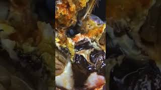 ep 37 do you eat this crab [upl. by Rainer]