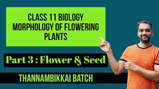 Morphology of Flowering Plants Class 11  Most Expected Questions  NEET 2024 [upl. by Eeldivad680]