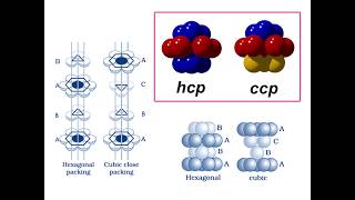 hcp vs ccp [upl. by Sivam]