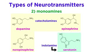 Neurotransmitters Type Structure and Function [upl. by Burgwell229]