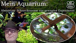 Abenteuer Schneckenvase ein gewagtes Experiment  Mein Aquarium 42 [upl. by Risan409]