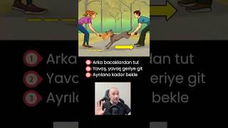 Arka Bacak Yöntemi köpekler köpekadam çağrıaracı köpek youtubecreatorcommunity [upl. by Mohandas]