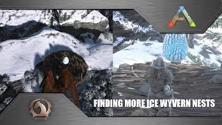 Ark Survival Evolved  Finding more Ice Wyvern nests  Nest locations Ragnarok [upl. by Ahsina]