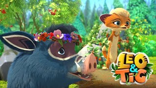 Leo and Tig 🦁 Summer best 🐯 Funny Family Good Animated Cartoon for Kids [upl. by Nohpets]