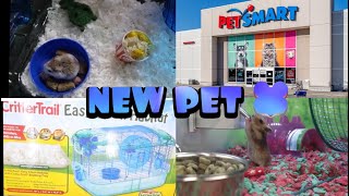 GETTING A PET HAMSTER FROM PETSMART CUTIE ALERT [upl. by Elberta]