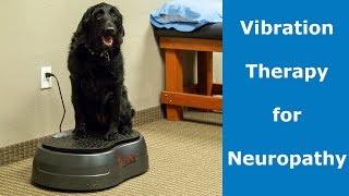 Vibration Therapy For Neuropathy [upl. by Nired]