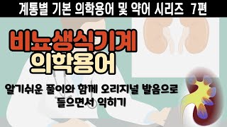 비뇨생식계통 의학용어 및 약어임상에서 자주 쓰는 용어들알기쉬운 핵심 설명포함의학용어비뇨기간호대생신규간호사간호조무사 [upl. by Landa]