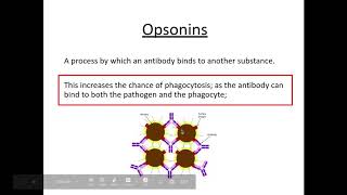 Module 4 OCR Alevel Biology  Entire topic Immunity  Biodiversity  Classification  Evolution [upl. by Muns672]