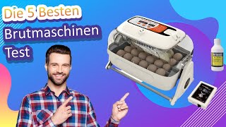 Die 5 Besten Brutmaschinen Test [upl. by Blaseio]