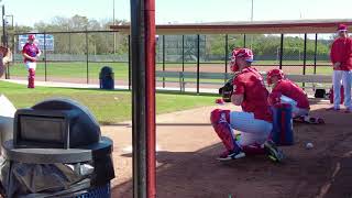 Phillies Spring Training in Clearwater 2023 [upl. by Donella]