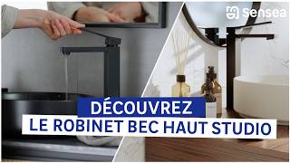 🚰 Découvrez le robinet bec haut Studio [upl. by Ilowell606]