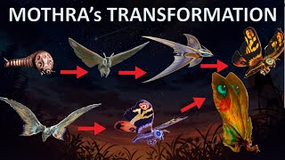 All MOTHRA Reincarnations  ANIMATED SIZE TITAN COMPARISON [upl. by Hildagarde]