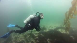 2018 Monterey Vintage Diver Dive In 091518 [upl. by Sheelagh]