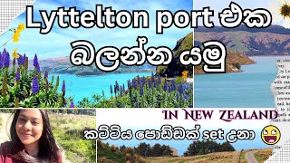 අපි සි0දුත් කිව්වා  Skincare  Lyttelton බලන්නත් ගියා  සිංහල VLOG 46 New Zealand  Sinhala vlog [upl. by Alodi]