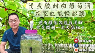 【釀製夫妻】金香白葡萄酒釀給你看（上集）White wine｜在家也能輕鬆釀出白葡萄酒｜白葡萄酒釀製實作影片｜清爽酸甜｜香檳氣泡｜wine｜釀製進行曲｜釀製小幫手｜果酒釀製實作｜科學釀製｜釀酒技巧 [upl. by Nichy556]