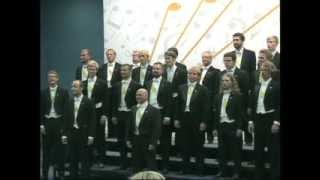 Linköping University Male Voice Choir Ohrid Choir Festival 2013 [upl. by Ellevel]