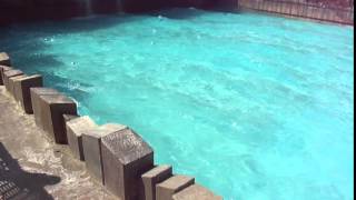 Typhoon Lagoon Wave Pool [upl. by Elbert]