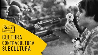 O que é cultura contracultura e subcultura [upl. by Faber158]