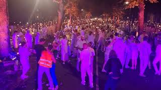 Diner en Blanc Nederland 2024  sterretjes SitN [upl. by Alekin]