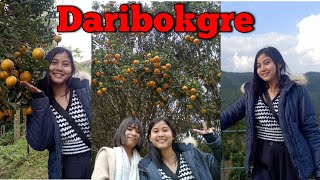 Daribokgre  Nokrek Meghalaya  Prosalline Sangma [upl. by Urbanna]