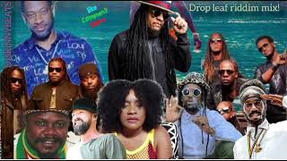 SIZZLAMORGANHERITAGELUCIANOGENTLEMANTOKTANYA STEPHENSBOUNTY KILLAJAHCUREDROP LEAF RIDDIM [upl. by Harpp]