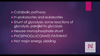 Pentose Phosphate PathwayPhosphogluconate PathwayHexose Monophosphate Shunt [upl. by Pyszka966]