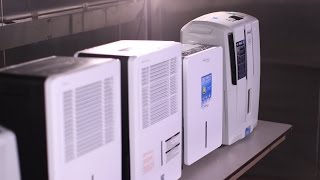 Dehumidifier Buying Guide Interactive Video  Consumer Reports [upl. by Oicnanev]