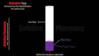 Ninhydrin Test  Identification Test of Amino acid  Chemical Test for Protein Animated Video Hindi [upl. by Barrett758]