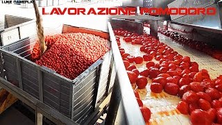 VirtualTour Lavorazione Pomodoro in Industria  Processing Tomato Industry [upl. by Ogir]