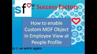 Success Factors How to enable Custom MDF object to Employee View in People Profile [upl. by Imnubulo]