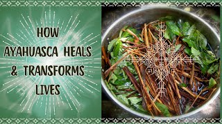 How Ayahuasca Heals and Transforms Lives [upl. by Lisk]