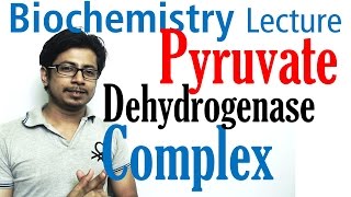 Pyruvate dehydrogenase complex [upl. by Mot496]