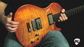 Video Review  Vigier Guitars GV Wood [upl. by Eelaras]