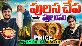 పులస చేప పులుసు 😋 Pulasa Fish Curry  రేటు వాచిపోయింది బాబోయ్ 🥹 కానీ టేస్ట్ మాత్రం 👌 [upl. by Mcclenon]