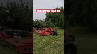 Check out our brand new orchard mower farming agriculture mowing tractor [upl. by Evalyn]