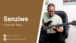 Lusanda Beja  Senziwe  bass Cover [upl. by Manoff347]