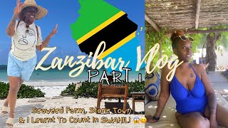 😍🏝️ ZANZIBAR VLOG pt1 ACCOMMODATION LEARN SWAHILI  SEAWEED FARM  STONE TOWN [upl. by Cruce]