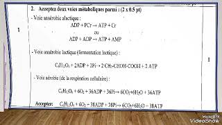 غأادي تعلم كيفاش تجاوب فالوطني  Exercices de unité 1 examen national   partie 2 [upl. by Anaugahs361]