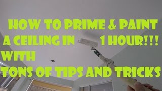 How to Prime and Paint a Ceiling FAST in 1 Hour Tons of DIY Ceiling Painting Tips and Tricks [upl. by Akaya213]