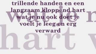 Bløf  Alles is liefde Lyrics [upl. by Llerrah1]