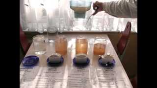 Aquaphor Brita Dafi Laica Water Filter Test  Part 3 [upl. by Twila]