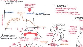 Comprenda La Fisiología De La Menopausia Síntomas Y Tratamiento [upl. by Levinson]