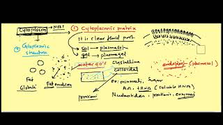 cytoplasmic matrix [upl. by Sibbie240]