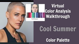 Cool Summer and Winter Color Palette Color Analysis  Cool Skin Undertone  What Colors Work For You [upl. by Aimekahs209]