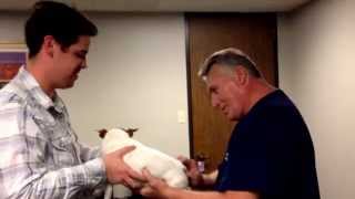 Chiropractic Adjustment of A Dog By Your Houston Chiropractor Dr Gregory Johnson [upl. by Llenrahs381]